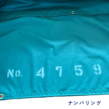 ナンバリング
